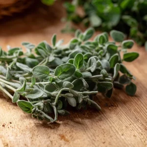 Sweet Marjoram Seeds - Origanum majorana Heirloom Culinary Herb - 150 Seeds - Image 3