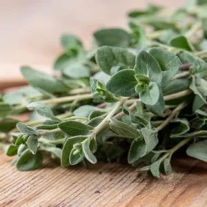 Sweet Marjoram Seeds - Origanum majorana Heirloom Culinary Herb - 150 Seeds - Image 5