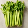 Tendercrisp Celery Seeds – 300 Count – Heirloom Easy-to-Grow Vegetable Seeds - Image 1