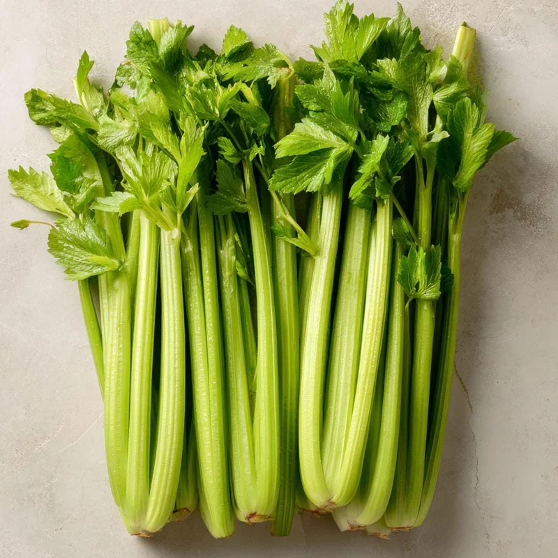 Tendercrisp Celery Seeds – 300 Count – Heirloom Easy-to-Grow Vegetable Seeds - Image 1