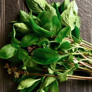 Thai Basil Seeds - 250 Heirloom Culinary Herb Seeds for Garden & Pots - Image 2