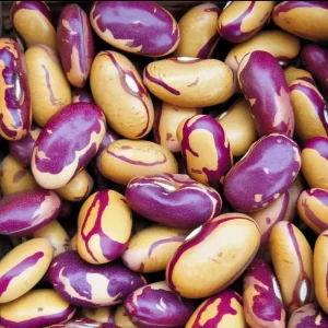 Tiger's Eye Bean Seeds - 25 Heirloom Bush Bean Seeds, Speckled Pods - Image 1