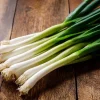 Tokyo Long White Bunching Onion Seeds - 200 Count, Mild & Tender, Heirloom Vegetable - Image 1