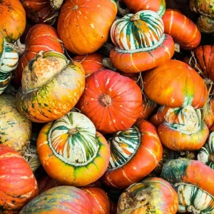 Turks Turban Pumpkin Seeds - Heirloom Decorative & Edible Winter Squash - 10 Seeds - Image 1