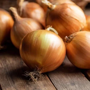 Utah Yellow Onion Seeds - 200 Heirloom Long Day Allium cepa Seeds - Image 3