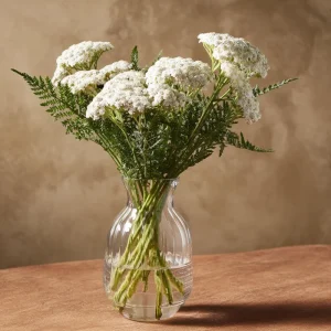 White Yarrow Seeds - 500 Achillea millefolium Perennial Flower Seeds - Image 3