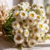Winged Everlasting Seeds - Ammobium Alatum Flower Seeds, 100 Seeds - Image 1
