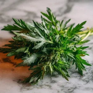 Yomogi Japanese Mugwort Seeds - Artemisia princeps, Heirloom Herb - 30 Seed Pack - Image 4