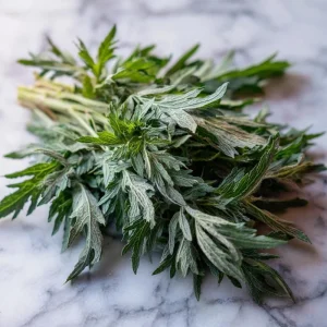 Yomogi Japanese Mugwort Seeds - Artemisia princeps, Heirloom Herb - 30 Seed Pack - Image 5