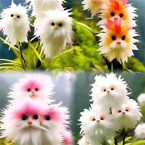 20+ Fragrant Cat Orchid Seeds - Exotic Varieties for Potted Gardens - Image 3
