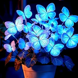 25+ Heirloom Blue Butterfly Coleus Seeds - Ornamental Foliage Plant - Vibrant Blue - Image 5