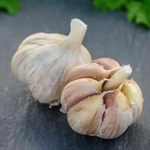 500+ German Red Garlic Seeds - Non-GMO, Healthy, USA Sourced, Fast Grow - Image 3