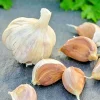 500+ German Red Garlic Seeds - Non-GMO, Healthy, USA Sourced, Fast Grow - Image 1
