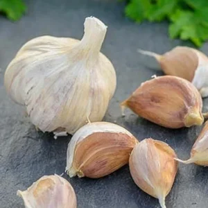 500+ German Red Garlic Seeds - Non-GMO, Healthy, USA Sourced, Fast Grow - Image 5