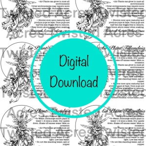 Air Plant Care Sheet Digital Download - Printable PDF Guide for Tillandsia - Image 2