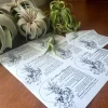 Air Plant Care Sheet Digital Download - Printable PDF Guide for Tillandsia - Image 1