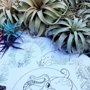 Air Plant Coloring Sheets - Set of 10 Educational Tillandsia Designs Digital Download - Image 2
