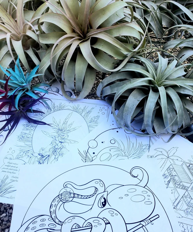 Air Plant Coloring Sheets - Set of 10 Educational Tillandsia Designs Digital Download - Image 2