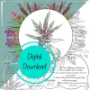 Air Plant Coloring Sheets - Set of 10 Educational Tillandsia Designs Digital Download - Image 1