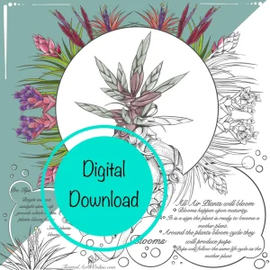 Air Plant Coloring Sheets - Set of 10 Educational Tillandsia Designs Digital Download - Image 1