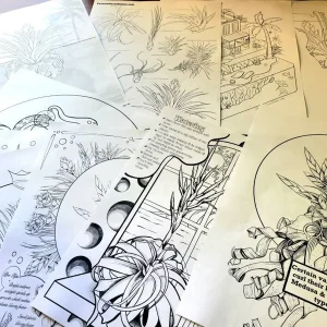 Air Plant Coloring Sheets - Set of 10 Educational Tillandsia Designs Digital Download - Image 3