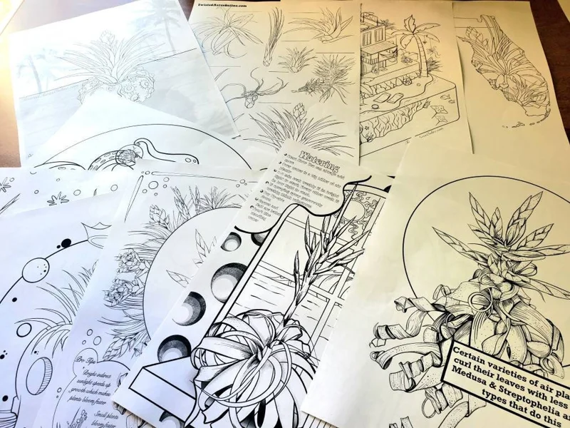Air Plant Coloring Sheets - Set of 10 Educational Tillandsia Designs Digital Download - Image 3