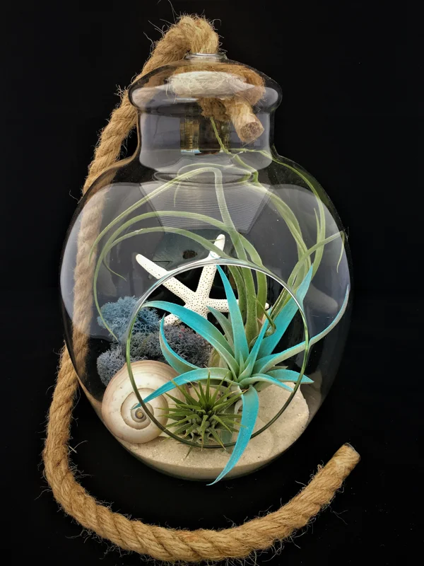 Air Plant Glass Terrarium with Rope - 11"x7.28" Assembled Indoor Decor - Image 2