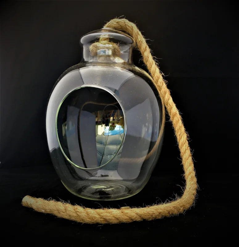 Air Plant Glass Terrarium with Rope - 11"x7.28" Assembled Indoor Decor - Image 4