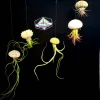 Air Plant Hanging Sea Urchin Planter Set - 3 Live Air Plants & Urchins - Image 1