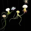 Air Plant Hanging Sea Urchin Planter Set of 3 Live Tillandsia Kits - Image 1