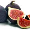 Black Mission Fig Tree Live Plant - Ficus Carica - Sweet Fruit Tree - 2-5 inches Tall - Image 1