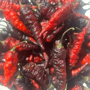 Black Naga Twister Super Hot Pepper Live Plants - Lot of 3, 75+ Days Old - Image 3