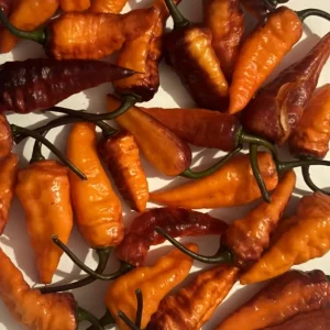 Black Panther Super Hot Pepper Live Plants - 3 Pack, 75+ Day Old, Outdoor - Image 4