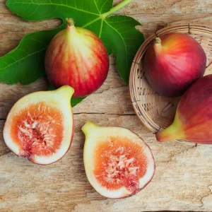 Brown Turkey Fig Tree Live Plant 5-9