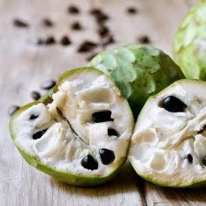 Cherimoya Live Plant - Tropical Fruit Tree in 0.5 Gallon Pot - Image 2