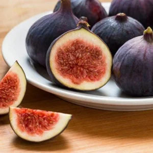 Chicago Hardy Fig Tree Live Plant 5-9 in - Ficus Carica - Cold Hardy USDA Zone 5-10 - Image 4