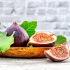 Chicago Hardy Fig Tree Live Plant 5-9 in - Ficus Carica - Cold Hardy USDA Zone 5-10 - Image 1