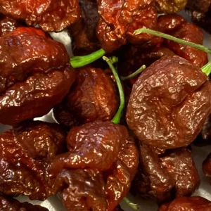 Chocolate Dragon's Breath Super Hot Pepper Live Plants - 3 Pack, 75+ Days Old - Image 1