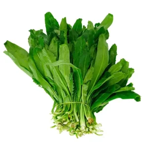Cilantro Seeds 200+ Non-GMO - Coriander Culantro Ngò Gai Herb Seeds - Image 1