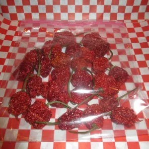 Dried Carolina Reaper Pods - 24 Pack - Super Hot Pepper for Culinary Use - Image 2