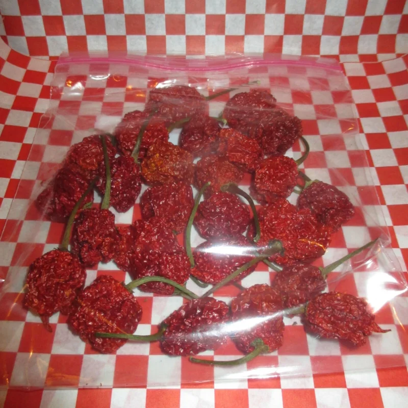 Dried Carolina Reaper Pods - 24 Pack - Super Hot Pepper for Culinary Use - Image 2