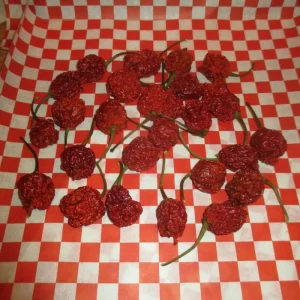 Dried Carolina Reaper Pods - 24 Pack - Super Hot Pepper for Culinary Use - Image 1