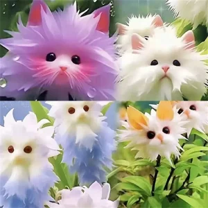 Fragrant Cat Orchid Seeds - 35+ Large Flower Orchid Seeds for Potted Plants - Image 2