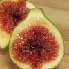 Green Ischia Fig Tree Live Plant - 5-9" Tall - Cold Hardy Zones 7-10 - Sweet Strawberry Jam Fig - Image 1
