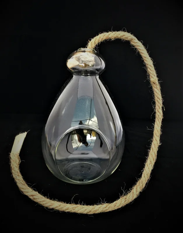 Hanging Air Plant Terrarium Kit - Coastal Decor with Live Air Plant, 7x6 Inch - Image 3