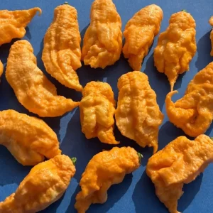 Jay's Peach Ghost Scorpion Super Hot Pepper Live Plants - 3 Pack, 75+ Days Old - Image 3