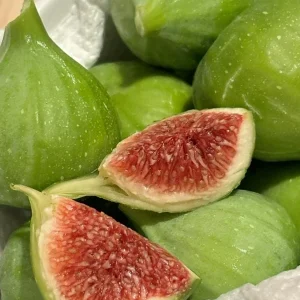 Kadota Fig Tree Live Plant - Ficus carica White Honey Fig - 5-9 in - Cold Hardy Zone 7-10 - Image 2