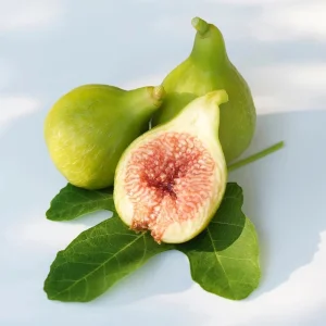 Kadota Fig Tree Live Plant - Ficus carica White Honey Fig - 5-9 in - Cold Hardy Zone 7-10 - Image 1