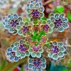 Mother of Millions Seeds - Kalanchoe tubiflora Succulent - Drought Tolerant - 25 Seeds - Image 1