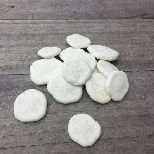 Natural Sand Dollars - Bulk Sea Biscuits for Weddings, Terrariums, Crafts, approx. 1 inch - Image 1